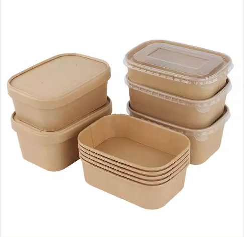 Kraft wegwerpschotel Kleurvolle schotel met afhaalpapier Lunchbox Voedselcontainer