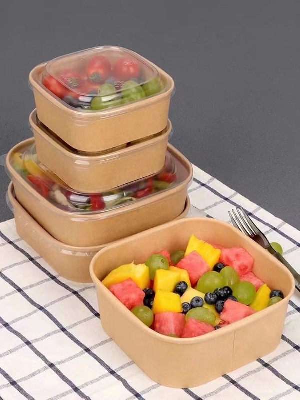 Kraft wegwerpschotel Kleurvolle schotel met afhaalpapier Lunchbox Voedselcontainer