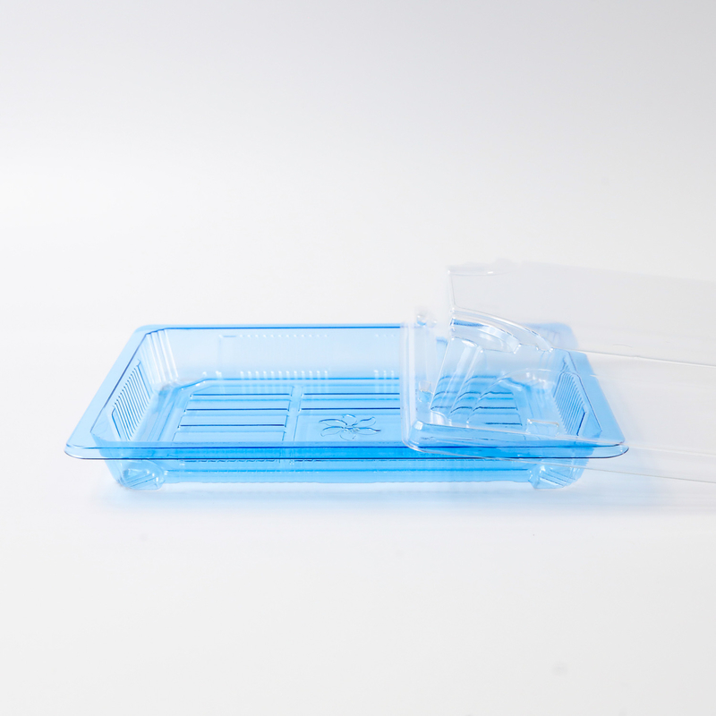 BH00-11 voedselcontainer Takeaway Verpakkingsdoos Plastic For Good Food Plastic BLUE Wegwerp Sushi doos