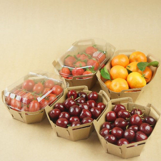 Rekupereerbaar het Document van 350gsm Kraftpapier het HUISDIERENdeksel van Fruittray with