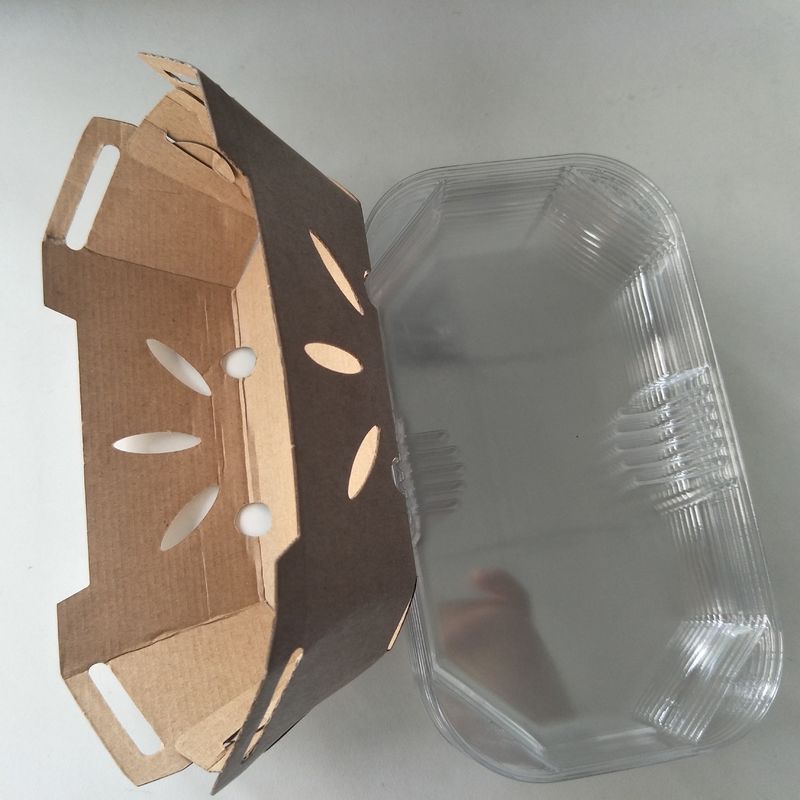 Rekupereerbaar het Document van 350gsm Kraftpapier het HUISDIERENdeksel van Fruittray with